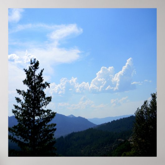 Poster Tonneaux d'été..... (Devant)