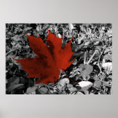 Poster tons automne (Devant)