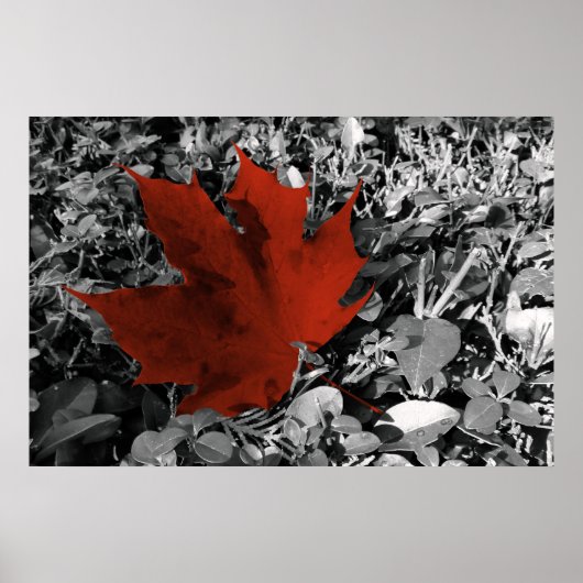 Poster tons automne (Devant)