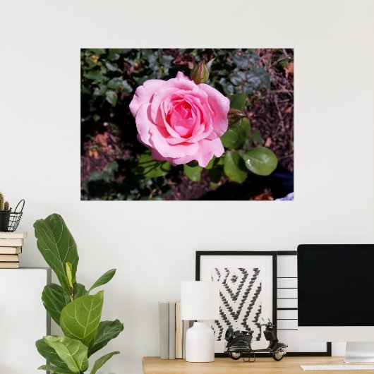 Poster tons roses (Bureau à domicile)