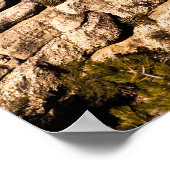 Poster Tons Terre (Coin)