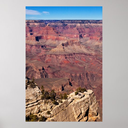 Poster Tons Terre (Devant)