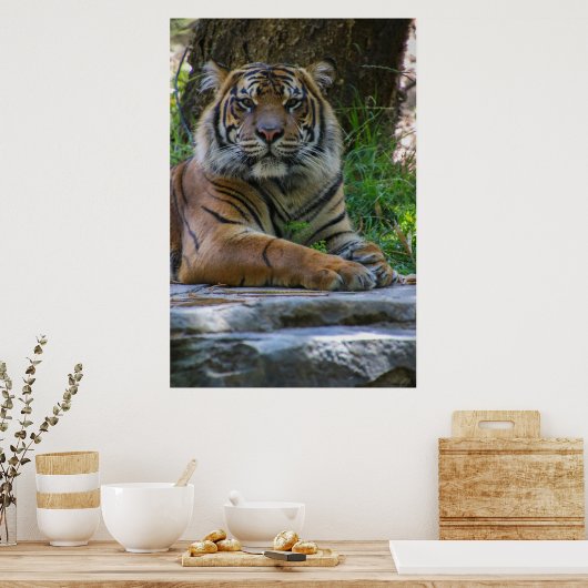 Poster Tony (Cuisine)