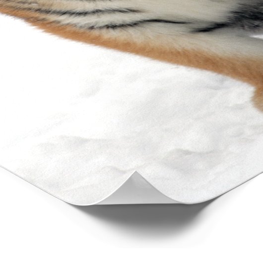 Poster Tony Jr (Coin)