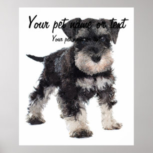 Poster Too Cute Puppy Miniature Schnauzer Dog