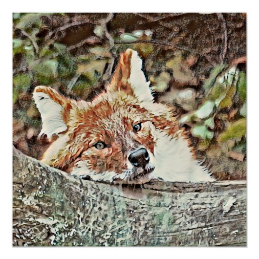 Poster Toony Fox (Devant)