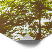 Poster Top des arbres verts (Coin)