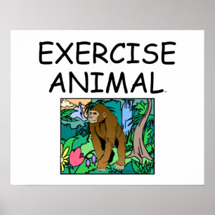 Poster TOP Exercice Animal