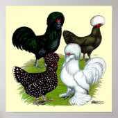 Poster Top Hat Chicken (Devant)