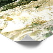 Poster Top O' Le Canyon (Coin)