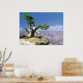 Poster Top O' Le Canyon (Cuisine)