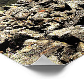 Poster Top of Scotland (Coin)