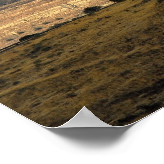 Poster Top of the World (Coin)