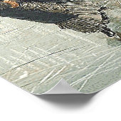 Poster TOP Patinage Old School (Coin)