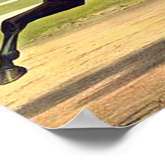 Poster TOP Sulky Champ (Coin)