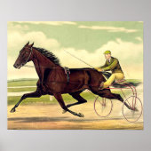 Poster TOP Sulky Champ (Devant)