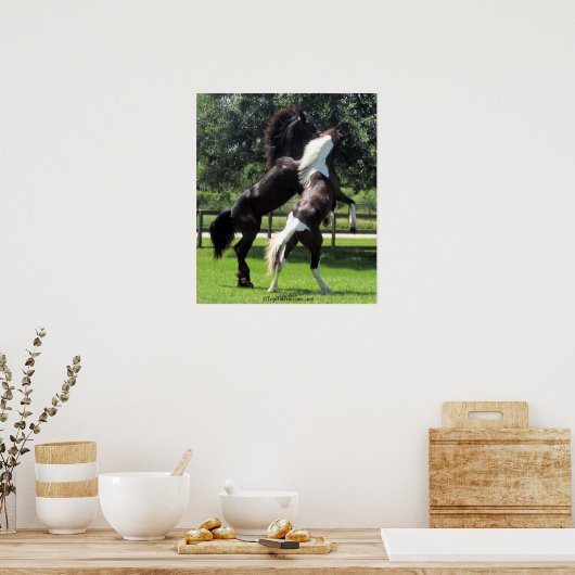 Poster TopHatFriesians.com (Cuisine)