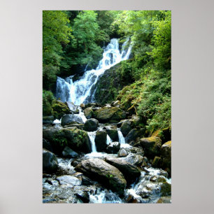 Poster TorcFalls