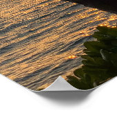 Poster Torches Waikiki Tiki (Coin)