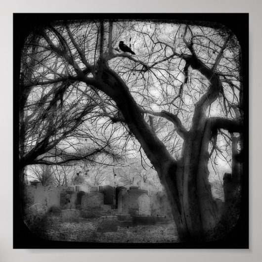 Poster tordu (Devant)