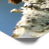 Poster Tordue (Coin)