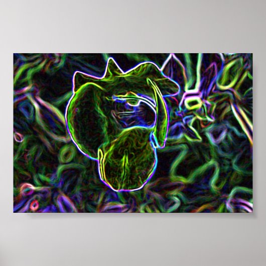 Poster Torenia Edited (Devant)