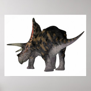 Poster Torosaurus Dinosaure