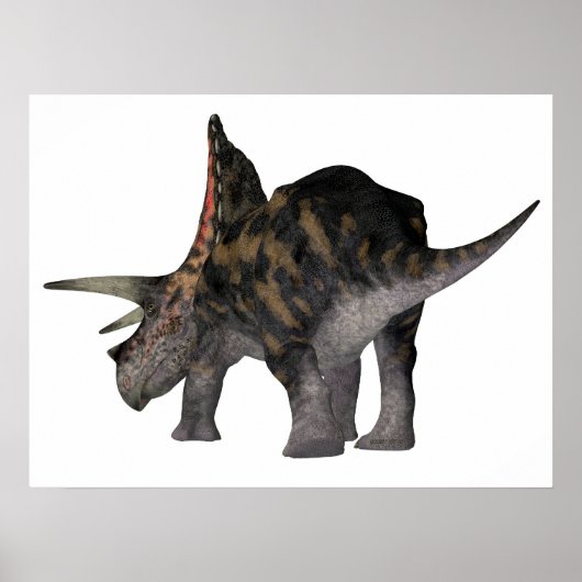 Poster Torosaurus Dinosaure (Devant)