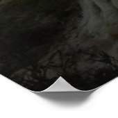 Poster Torrey Pine à Sunset California Coast (Coin)