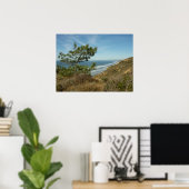 Poster Torrey Pine and California Coastline Landscape (Bureau à domicile)