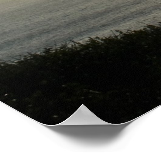 Poster Torrey Pine Silhouette Matte Canvas (Coin)