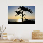 Poster Torrey Pine Silhouette Matte Canvas (Cuisine)