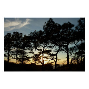 Poster Torrey Pine Sunset II Californie Paysage