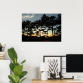 Poster Torrey Pine Sunset II Californie Paysage (Bureau à domicile)