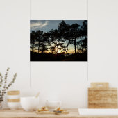 Poster Torrey Pine Sunset II Californie Paysage (Cuisine)