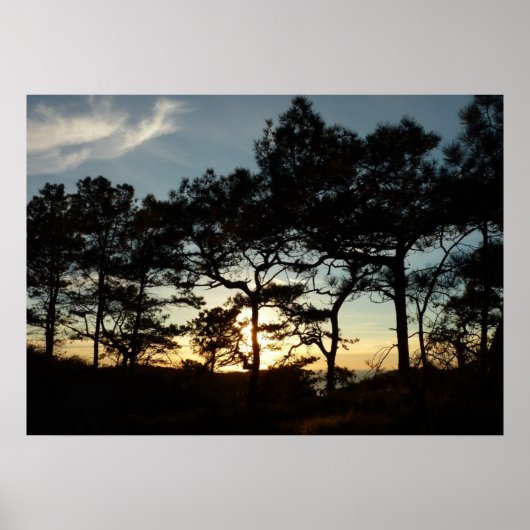 Poster Torrey Pine Sunset II Californie Paysage (Devant)