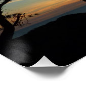 Poster Torrey Pine Sunset III Paysage californien (Coin)