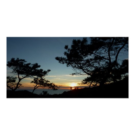 Poster Torrey Pine Sunset III Paysage californien (Devant)