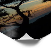 Poster Torrey Pine Sunset III Paysage californien (Coin)