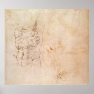 Poster Torso Study