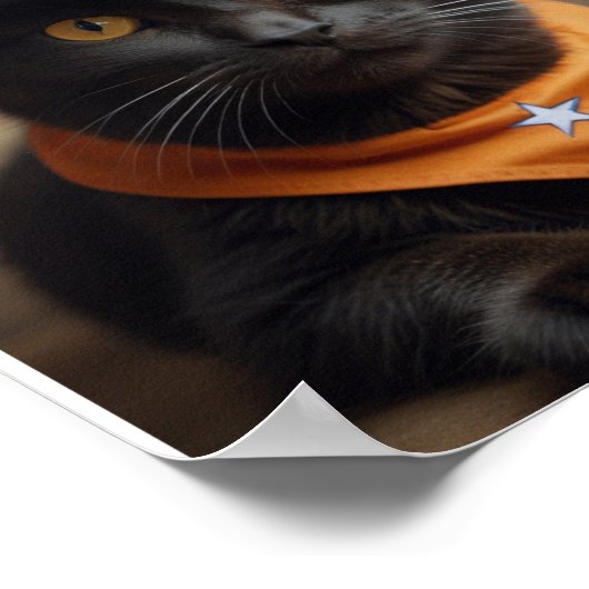 Poster Tortishell Cat Cowboy (Coin)