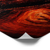 Poster Tortois (Coin)