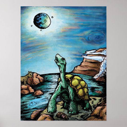 Poster Tortoise des Galapagos (Devant)