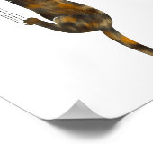 Poster Tortoise Shell Cat Hanging On Funny Tortie Cat  (Coin)