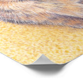 Poster Tortoiseshell dames (Coin)