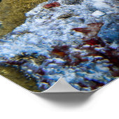 Poster Tortue (Coin)