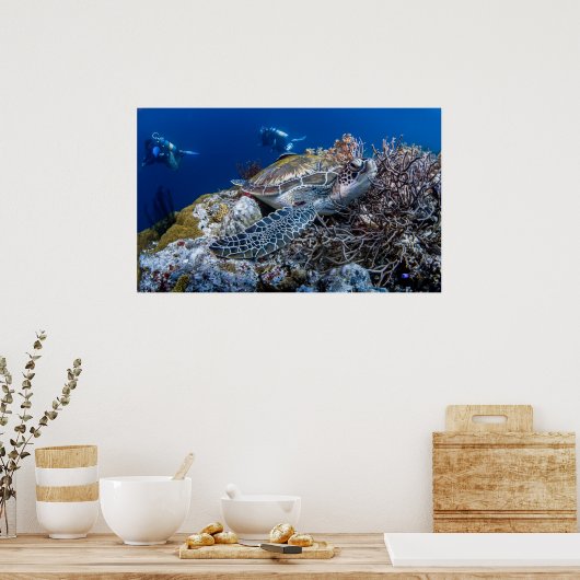 Poster Tortue (Cuisine)