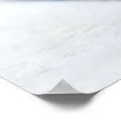 Poster Tortue (Coin)