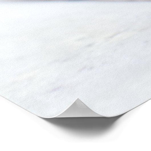 Poster Tortue (Coin)