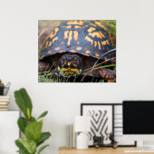 Poster Tortue (Bureau à domicile)
